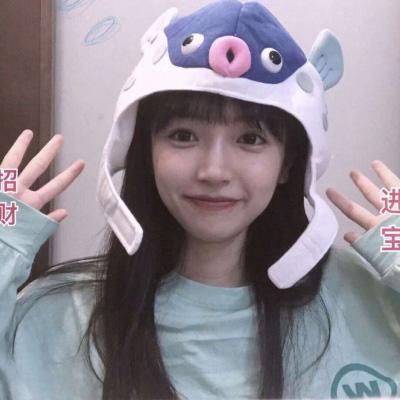 平民之拳最新版下载